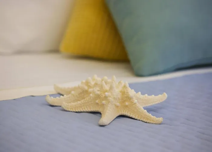 Elisabetta Hotel Cesenatico